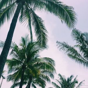 Meet your Posher, Cara